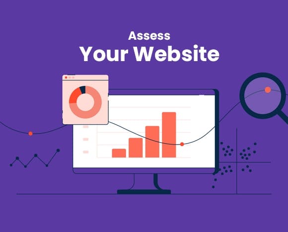 Assess Your Website